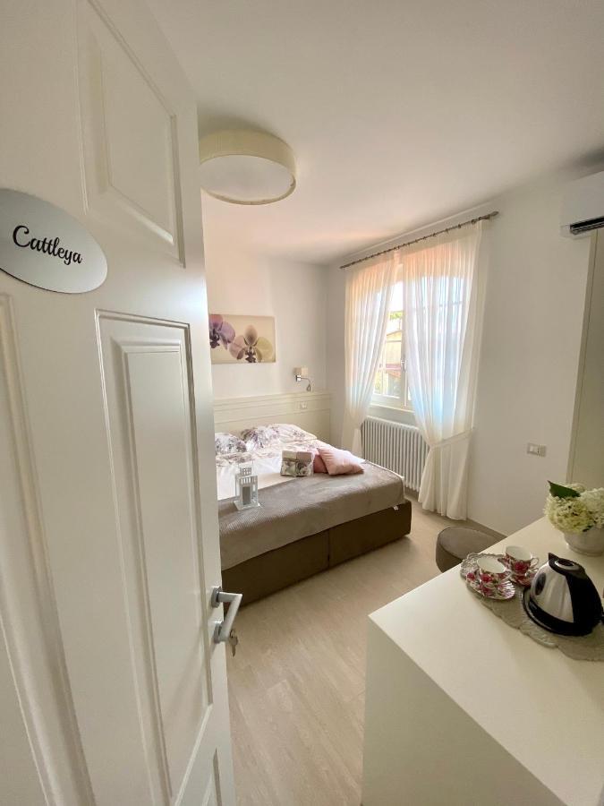 קמאיורה Bellaisa Bed & Breakfast מראה חיצוני תמונה