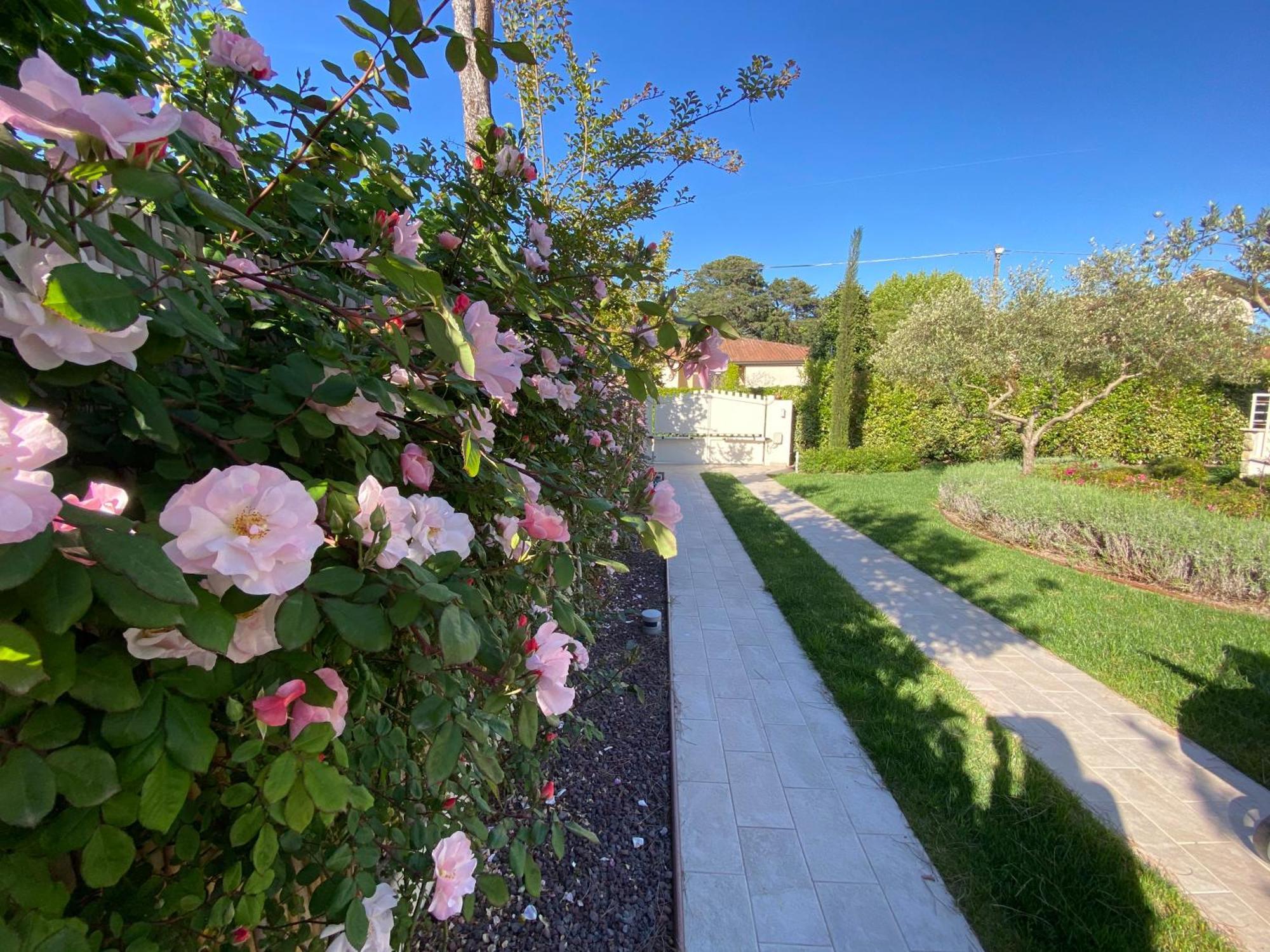 קמאיורה Bellaisa Bed & Breakfast מראה חיצוני תמונה